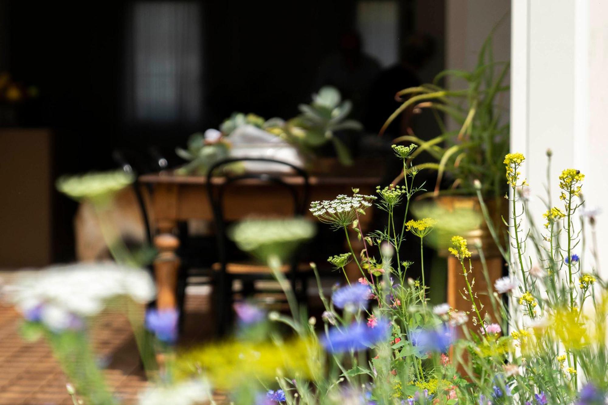 Bed And Breakfast Canalgrande Mira Εξωτερικό φωτογραφία